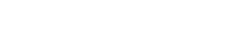 Blue-White AI Solutions